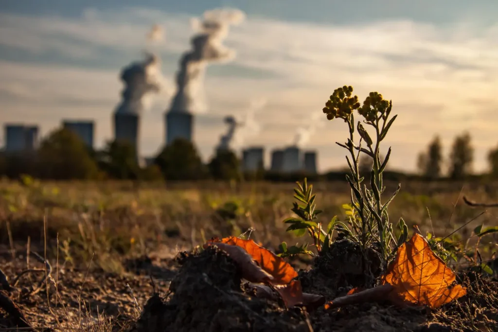 Riesgos ambientales: cómo proteger su empresa y su reputación